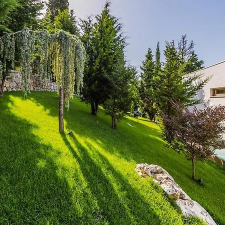 Whisper By Pikhost *