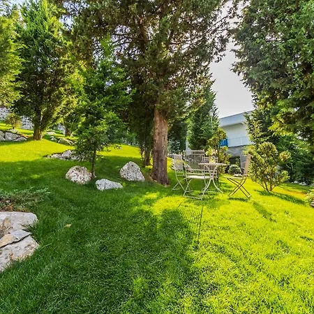 Whisper By Pikhost * Široka